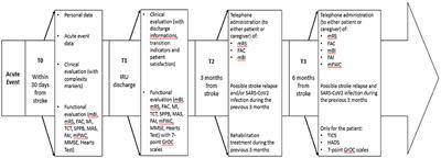 Design and implementation of a Stroke Rehabilitation Registry for the systematic assessment of processes and outcomes and the development of data-driven prediction models: The STRATEGY study protocol